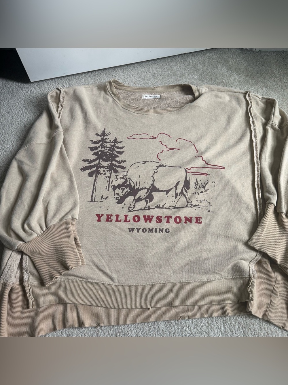 Free People We The Free Yellowstone Bison Camden Sweatshirt Beige Graphic - Picture 6 of 13